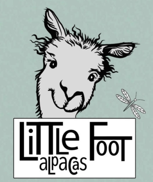 Caroline, Little Foot Alpacas