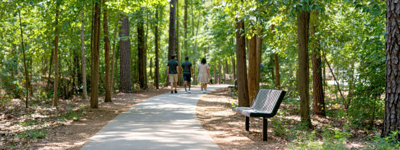 a multi-use pathway with a bench